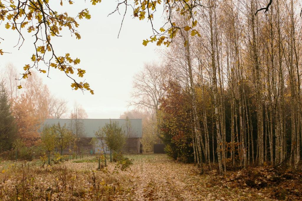 a building in the middle of a field with trees at Dom na wsi u Kasi HAJNÓWKA BIAŁOWIEŻA NA WYŁĄCZNOŚĆ in Stare Berezowo
