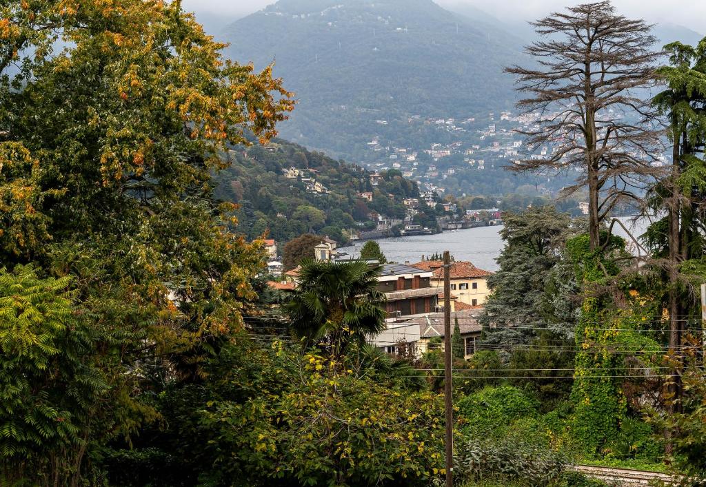 Phong cảnh thiên nhiên gần nhà khách