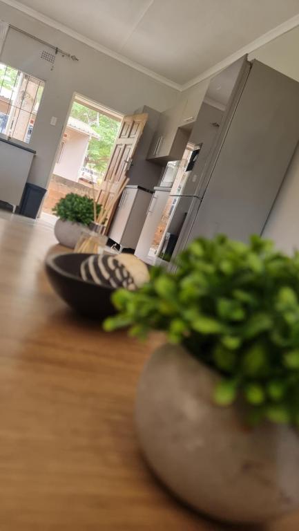 a living room with two large plants on a wooden floor at Nestville apartments in Solwezi