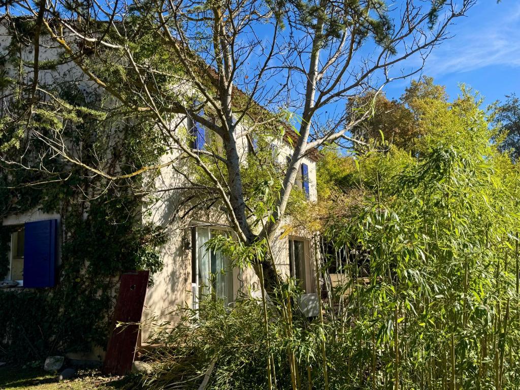 a white house with a tree in front of it at Maison d'Artiste in La Celle-sous-Gouzon