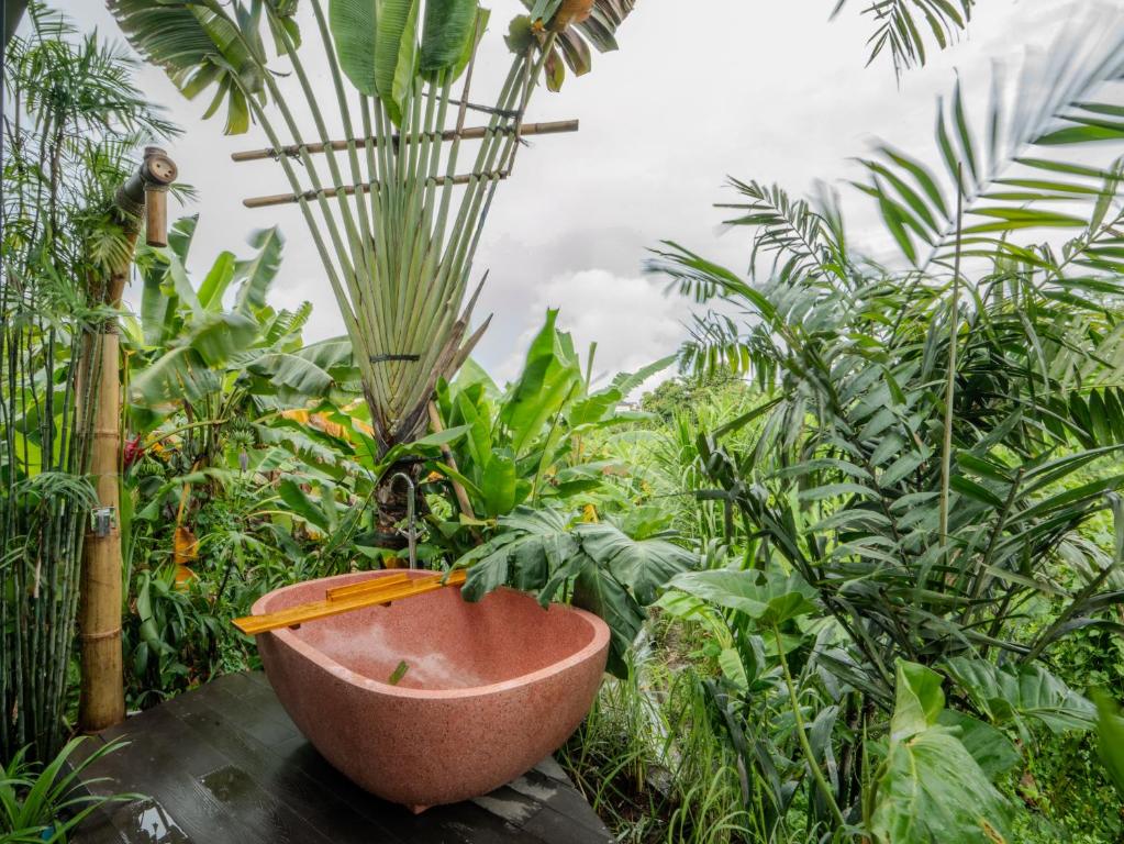 a large bowl in a garden with plants at Patha Canggu in Canggu