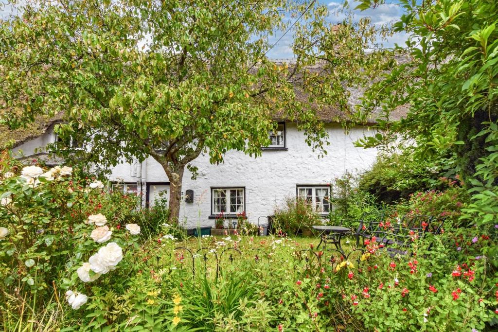 a white house with a tree and some flowers at Snowdrop Cottage in Jacobstowe