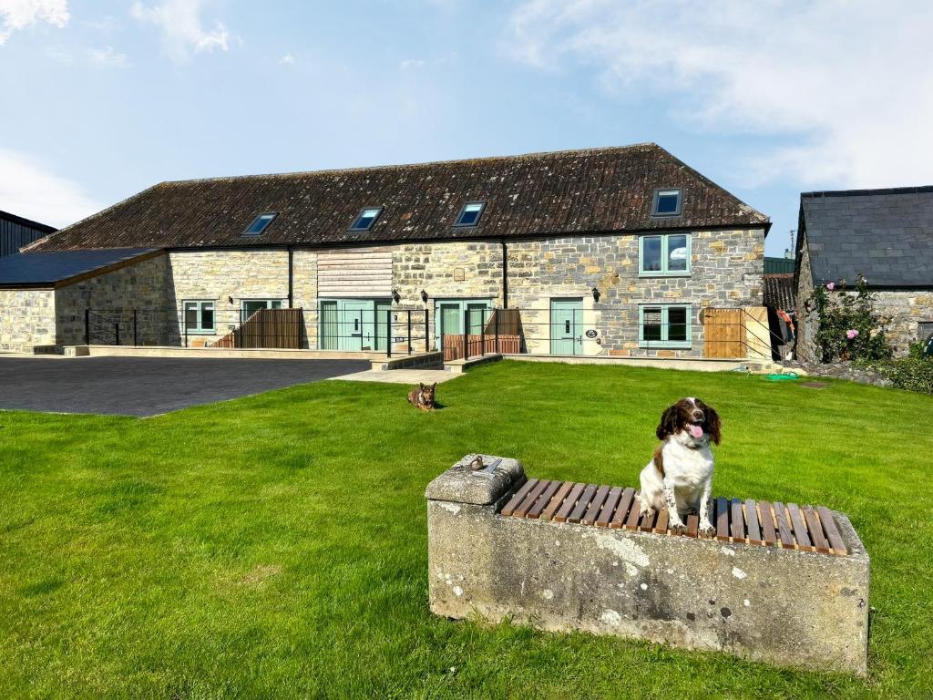 a dog sitting on a bench in front of a house at The Spud Shed - Uk47419 in Curry Mallet