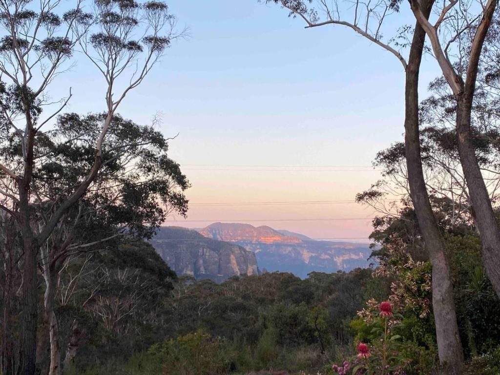 a view of the grand canyon from the blue mountains at Govetts Leap lookout cottage with sauna in Blackheath