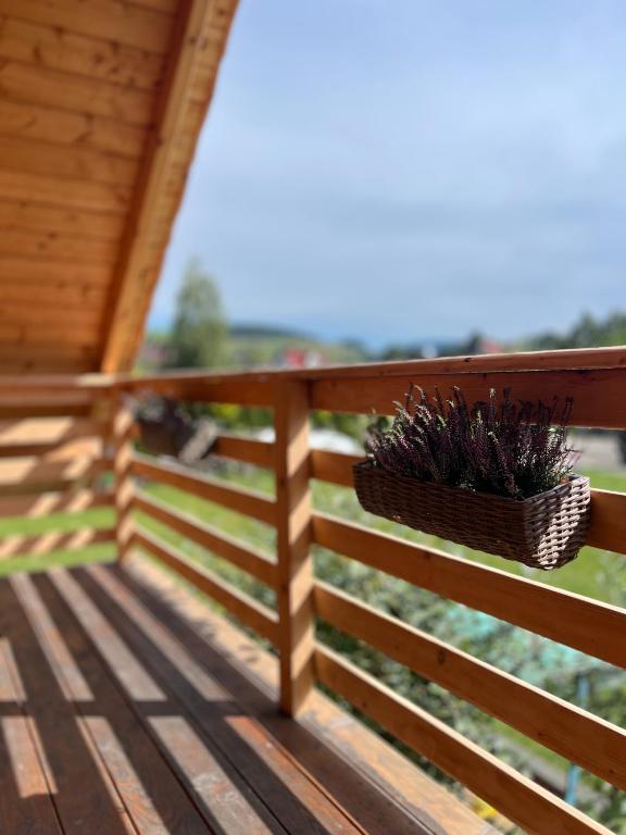 Fotografie z fotogalerie ubytování Domek pod wyciągiem, Tylicz v destinaci Tylicz