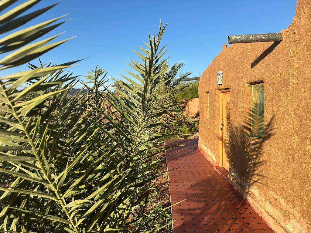 una palmera delante de un edificio en Dar Tiniri - Guest House - Zagora, en Arhla Ou Drar