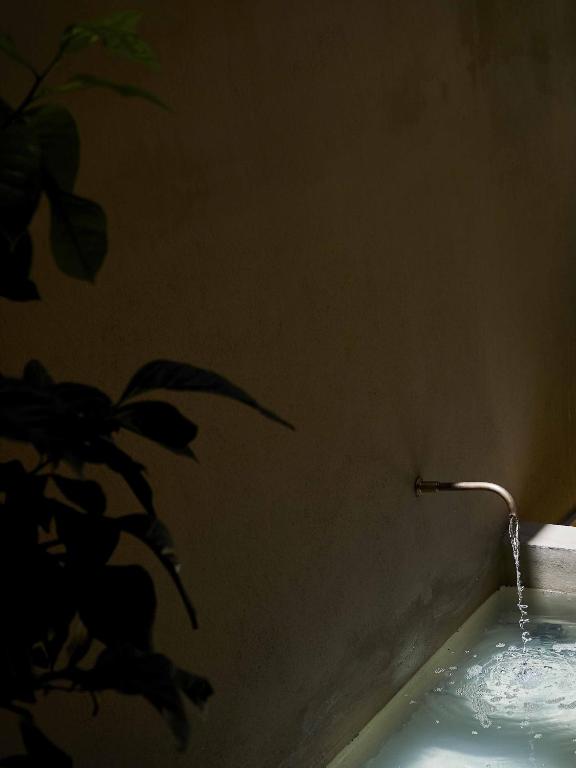 Azul & Limón Apartments . - 12