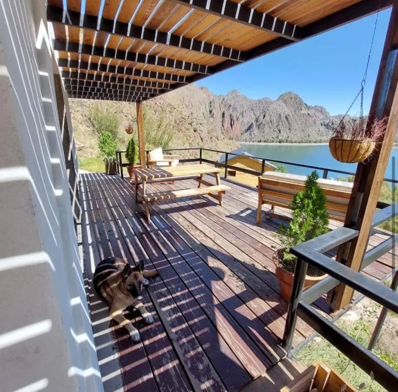 a dog laying on a deck with a view of the water at Las Marias in San Rafael