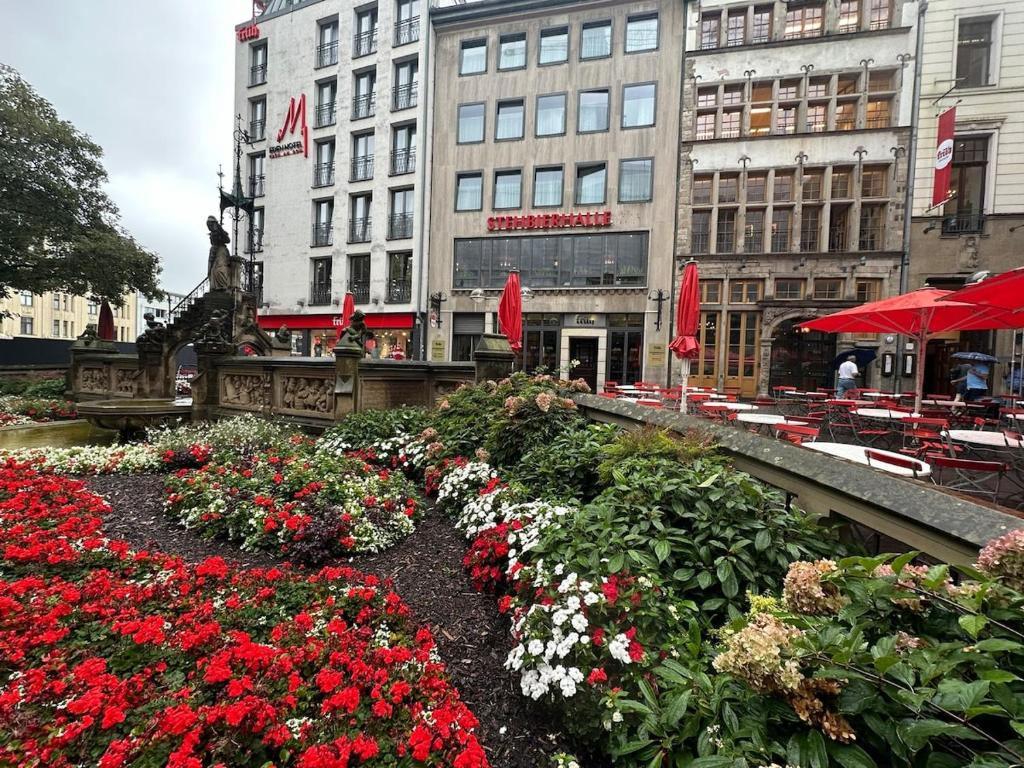 a garden of flowers in front of a building at Köln Pulheim 48 in Pulheim