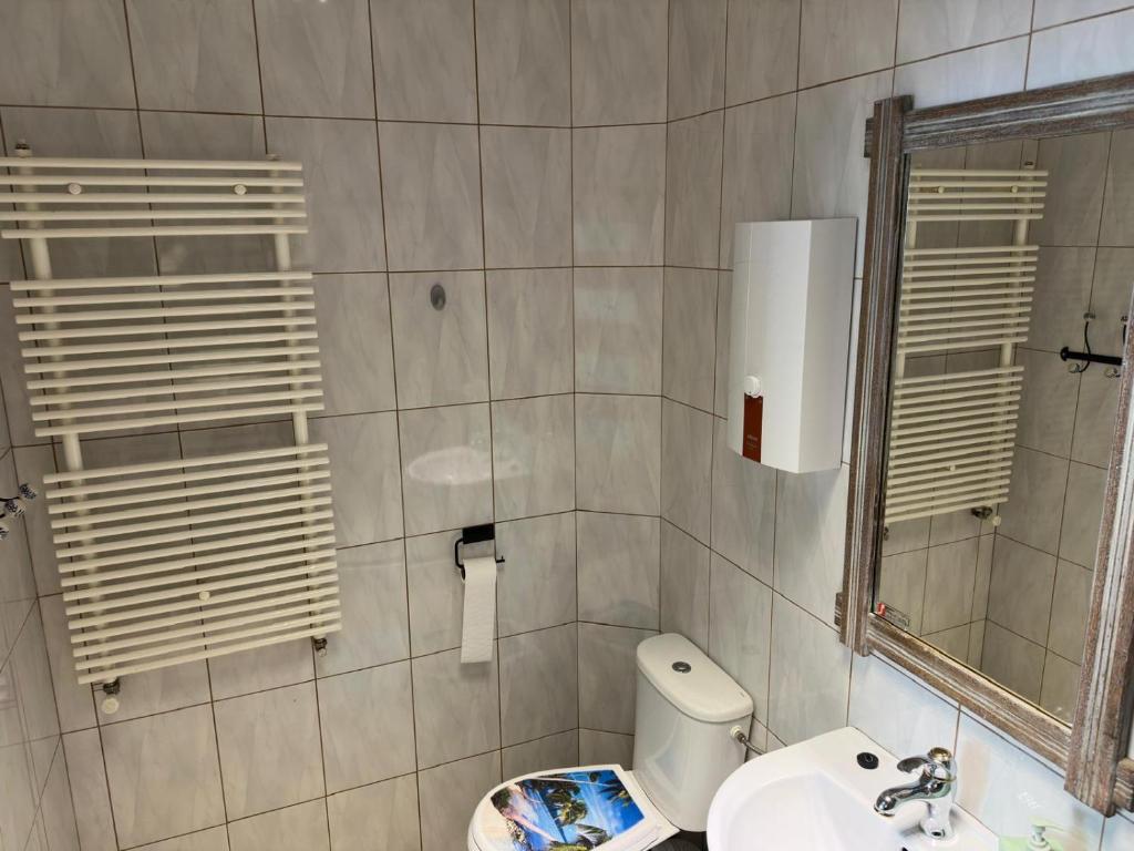 a bathroom with a toilet and a sink and a mirror at Cichy Zaułek 3a in Brodnica