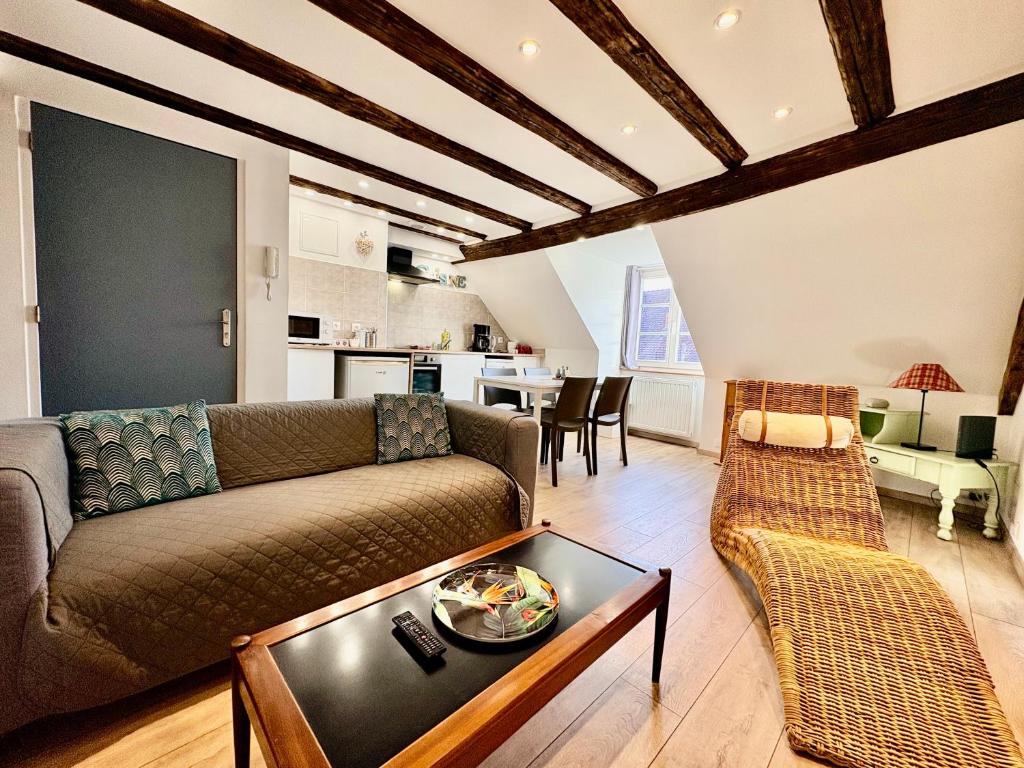 L'Ours de Colmar - Appartements en centre ville – photo 5