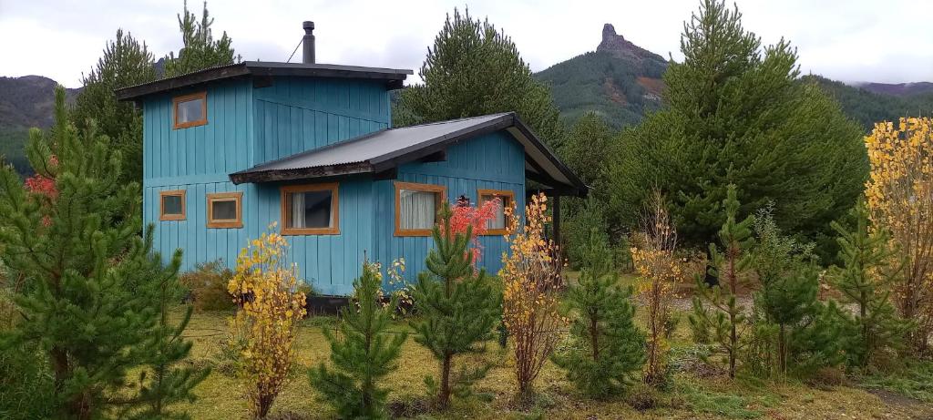 Naturlandskabet i nærheden af chaletet