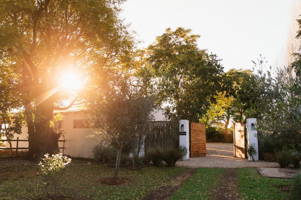 une porte menant à une maison où le soleil brille dans l'établissement Olyf guestcottage, à Bloemfontein