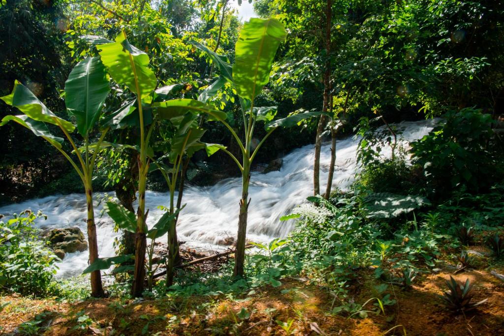 Thai House Heritage Pu Luong - 5