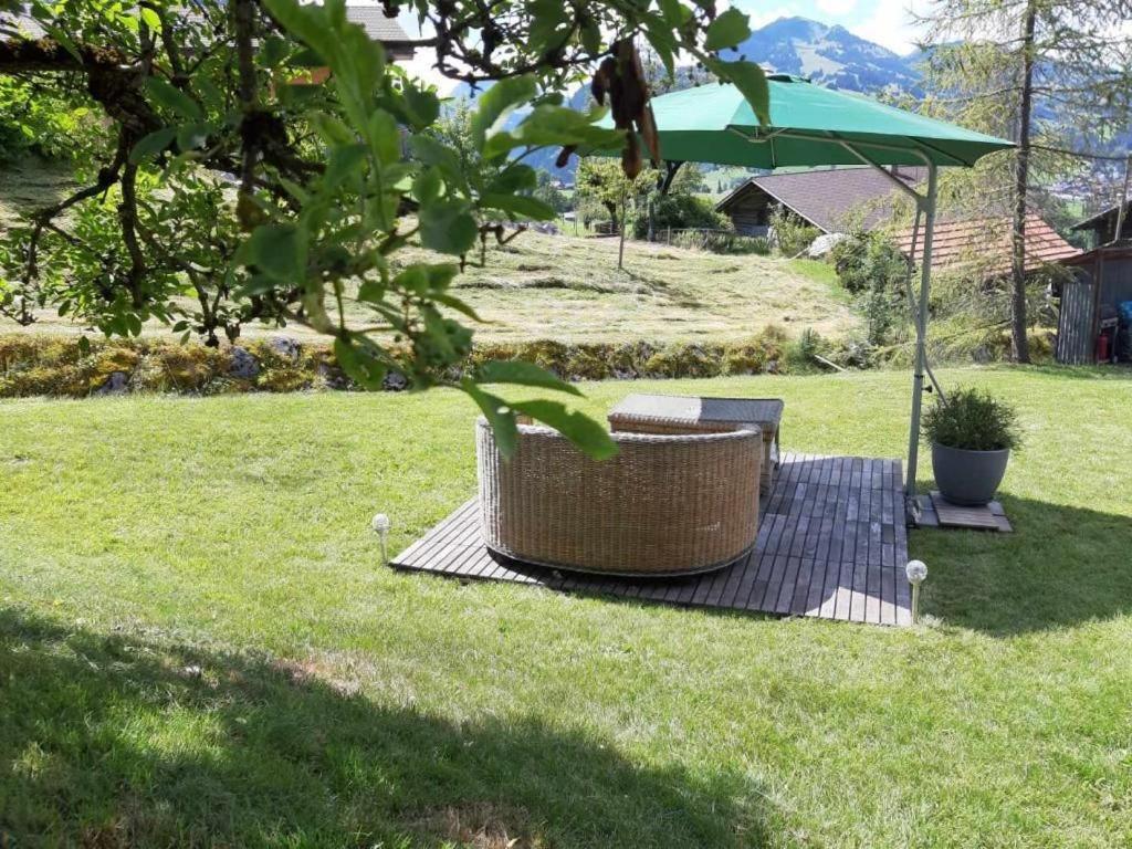 Una mesa de picnic y una silla bajo una sombrilla verde en Mannried 2 1 2 Zimmerwohnung Rustikal, en Zweisimmen