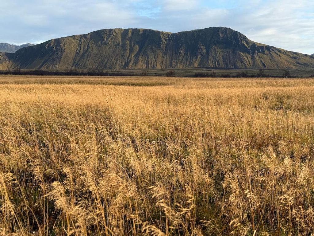 Φυσικό τοπίο κοντά σε αυτή η παραθεριστική κατοικία