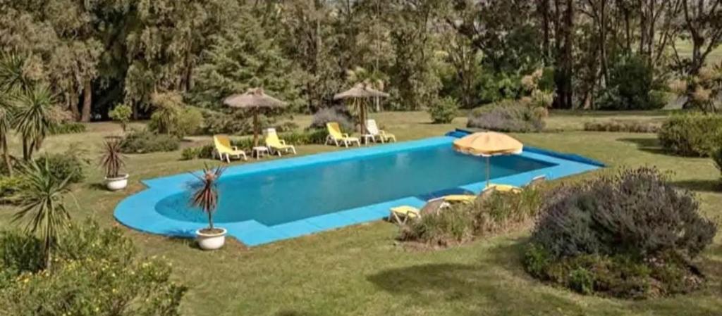 a swimming pool with chairs and umbrellas in a yard at Casa del campo in Mar del Plata
