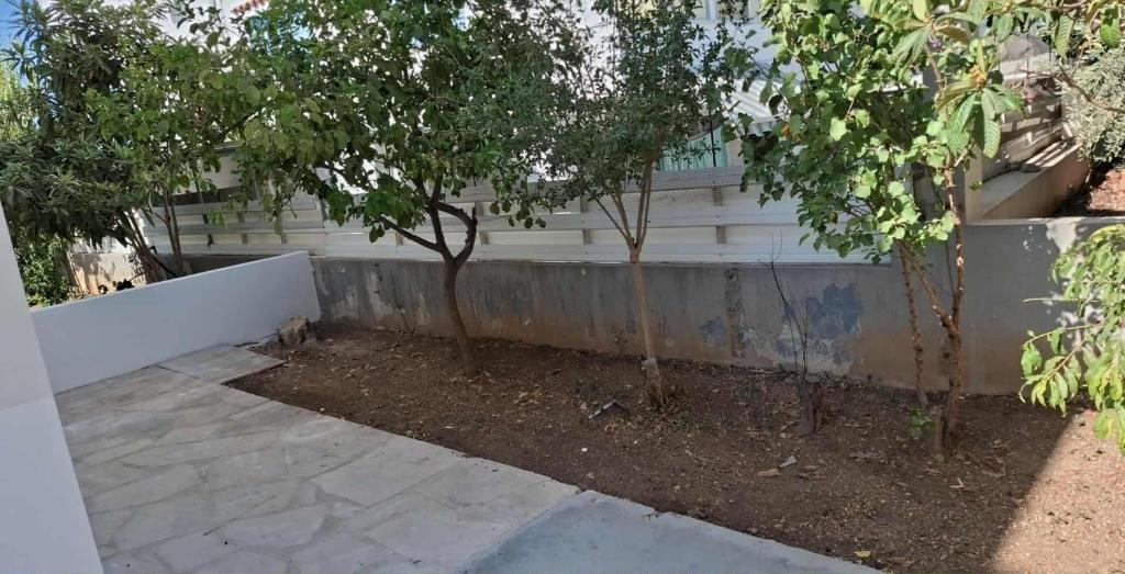 Κήπος έξω από το Aphrodites Resident