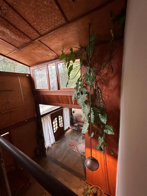 Φωτογραφία από το άλμπουμ του Maravilhosa Casa da Floresta σε Para de Minas