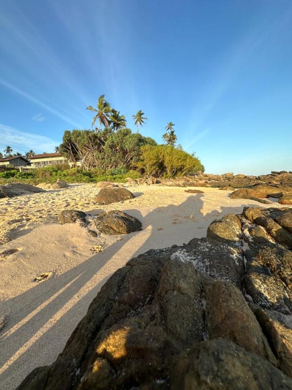 Loodusmaastik of the bed and breakfast lähedal