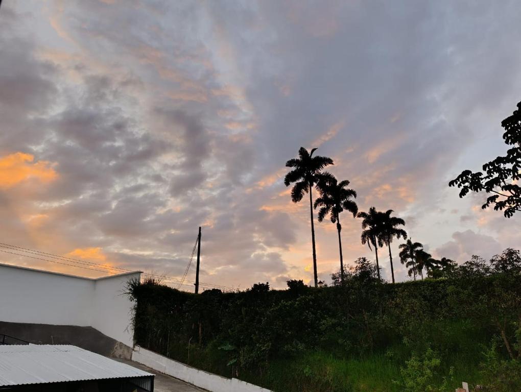 a group of palm trees and a cloudy sky at Hotel Oro VIP Pereira in Pereira