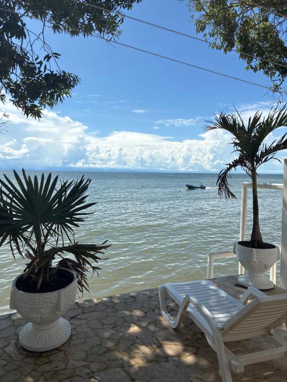 a chair and palm trees next to the water at Paraíso frente al mar en Antioquia in Necoclí