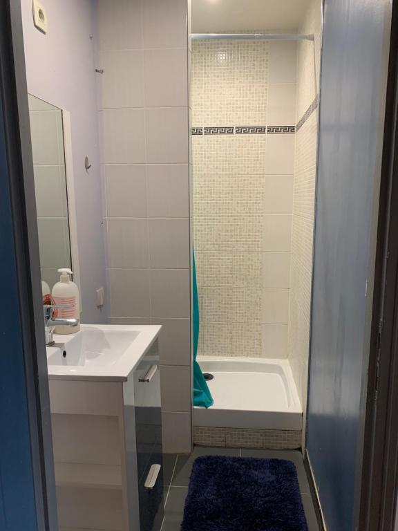 a bathroom with a tub and a sink and a shower at Studio Spacieux au Grand Paris in Chennevières-sur-Marne