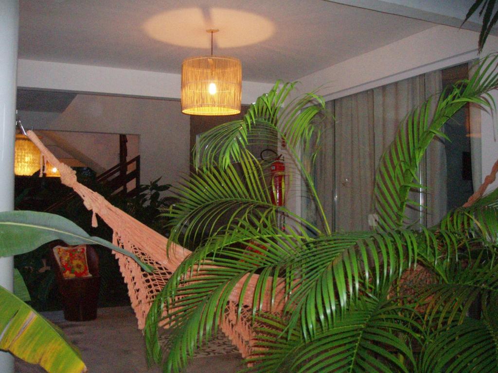  Suites Vida Sol