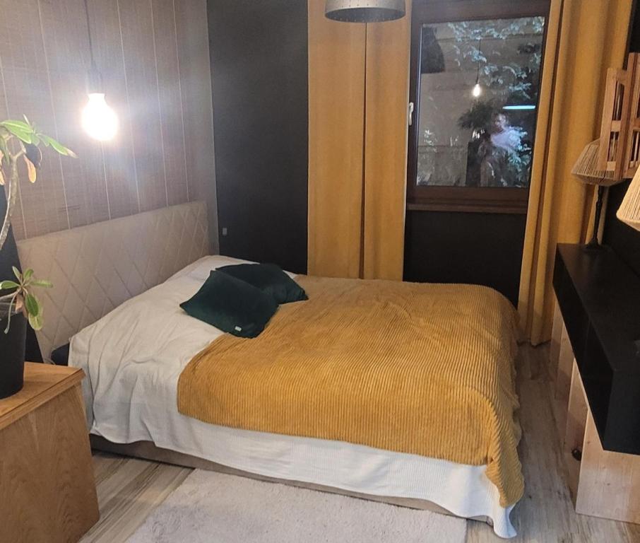 a bedroom with a bed with a green pillow on it at Apartament Szpilka - domek in Police