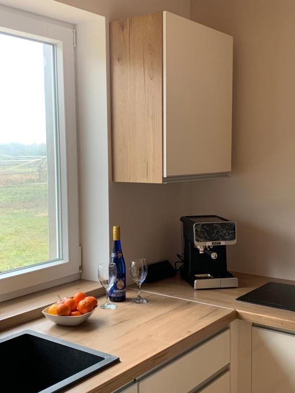 Kuchyň nebo kuchyňský kout v ubytování Spokojna Dolina