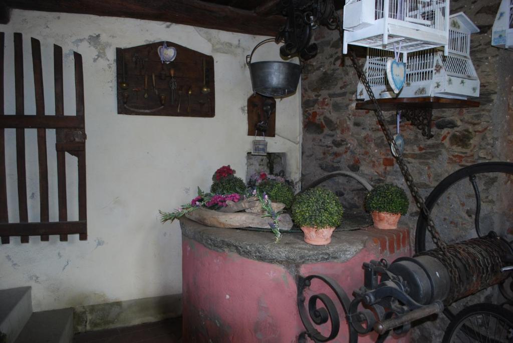 Fotografie z fotogalerie ubytování La Curandera v destinaci Rosta