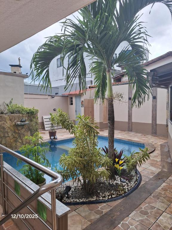 马瑙斯Recanto Morada Amazônica的游泳池旁边庭院里的一棵棕榈树
