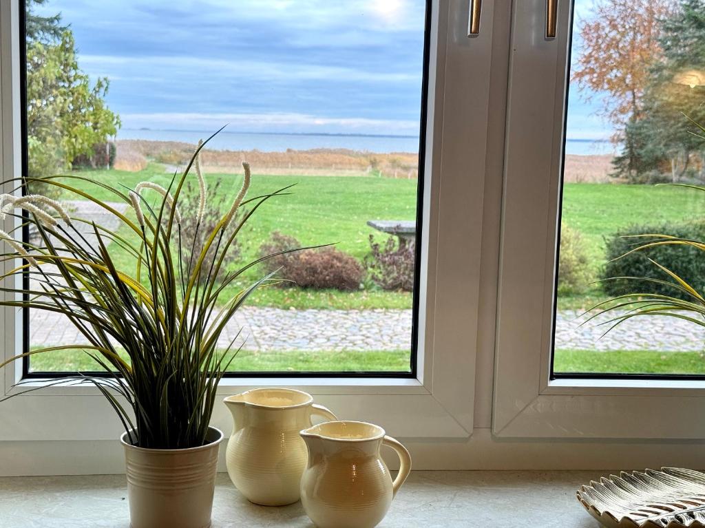 a window with two vases and a plant on a window sill at BAUERNHAUS KRULL App 03 in Althagen