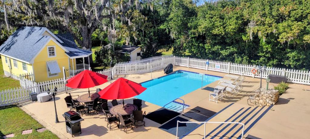 an aerial view of a swimming pool with two umbrellas at Shamrock Thistle & Crown B&B in Weirsdale