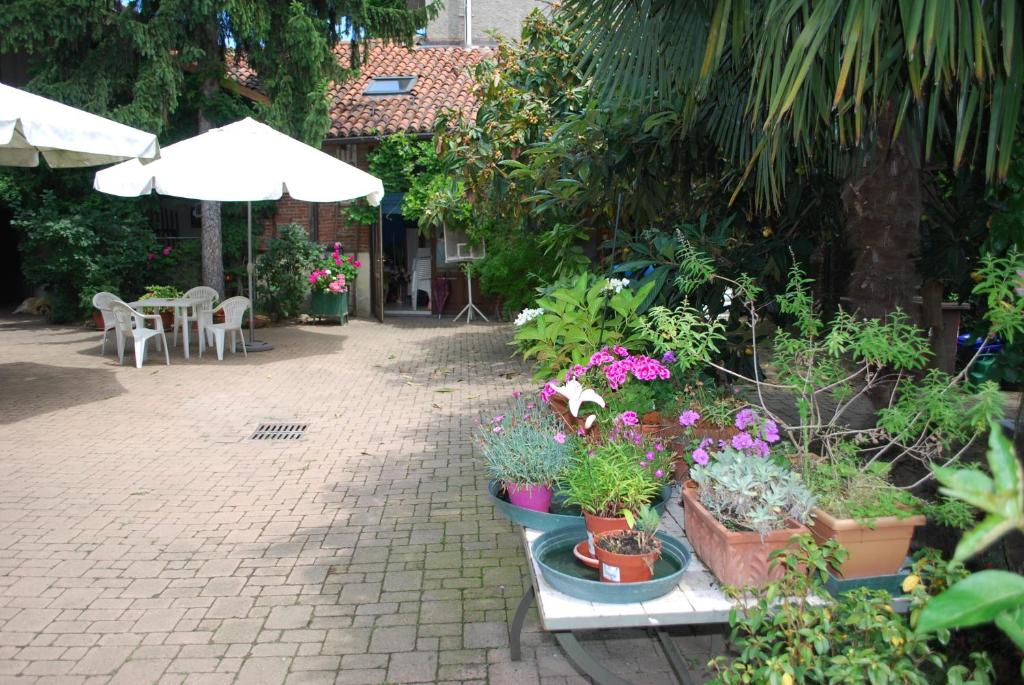 a patio with potted plants and a table with an umbrella at La Curandera in Rosta
