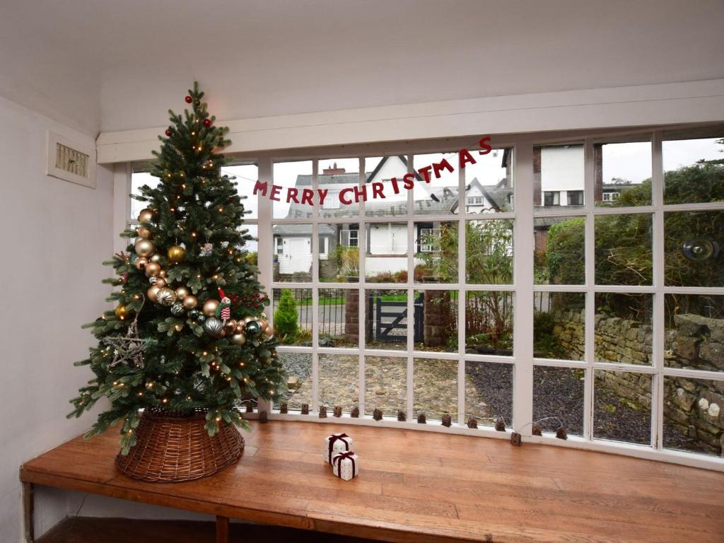 a christmas tree sitting on a table in front of a window at 4 Bed in Beaumaris 94501 in Llanddona