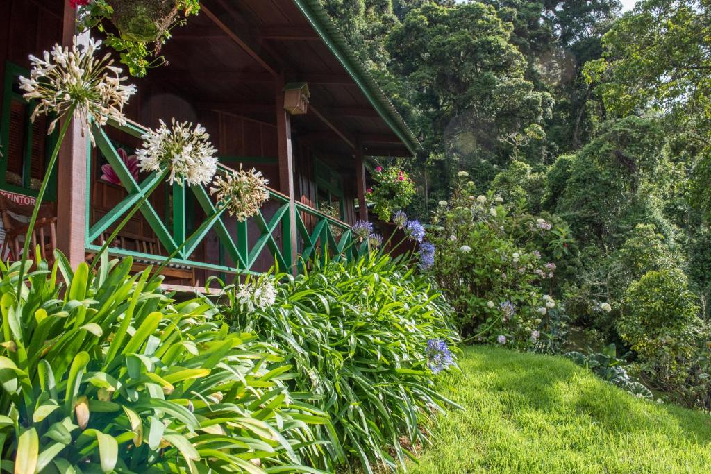 Trogon Lodge photo