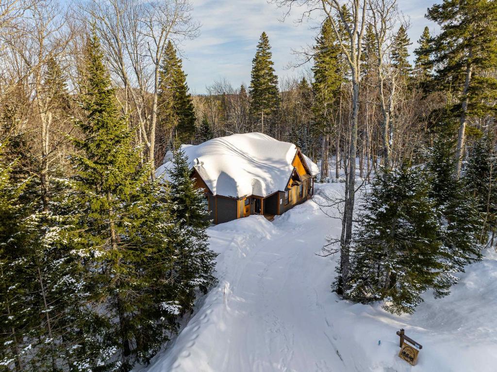 圣弗朗索瓦小河L'ours de Charlevoix - Chalet proche du Massif avec spa的树林里的小屋,上面有雪
