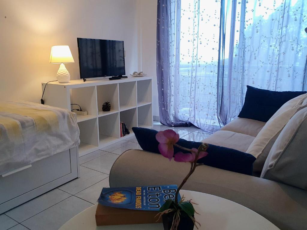 a living room with a couch and a tv at Los Llanos Ocean view in Los Llanos de Aridane