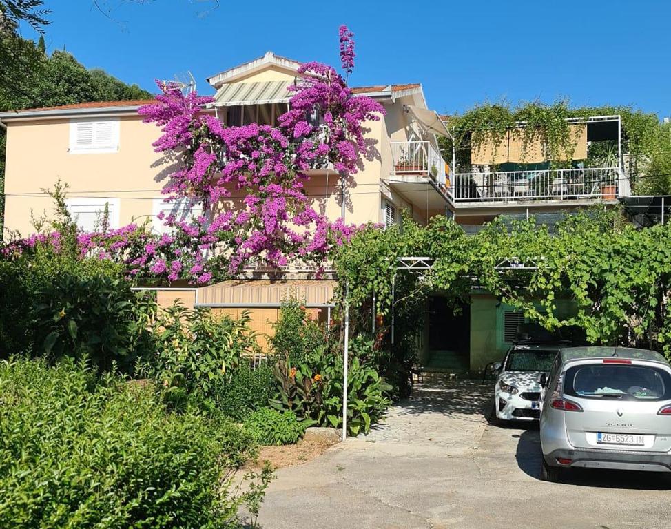 Zahrada ubytování Apartments with parking space Trpanj, Peljesac - 257