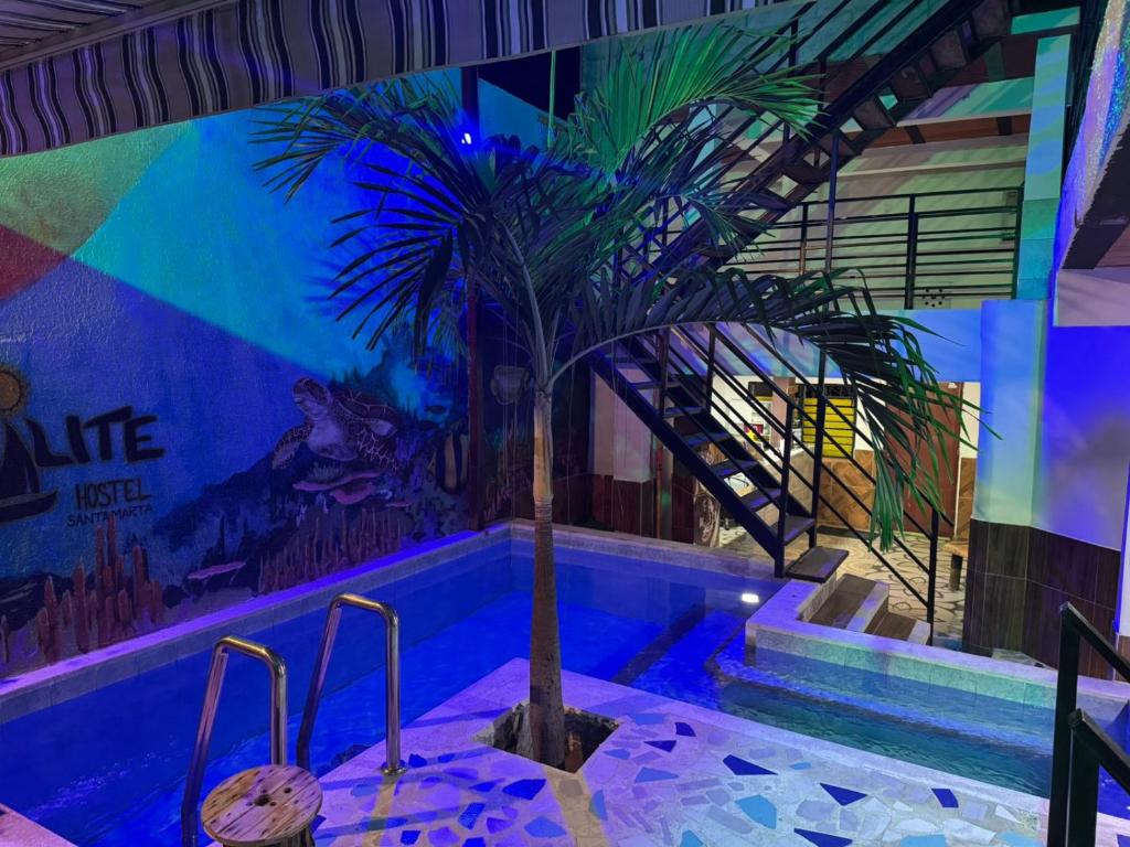 eine Palme mitten im Swimmingpool in der Unterkunft Hotel Coralite Suites Lions in Santa Marta