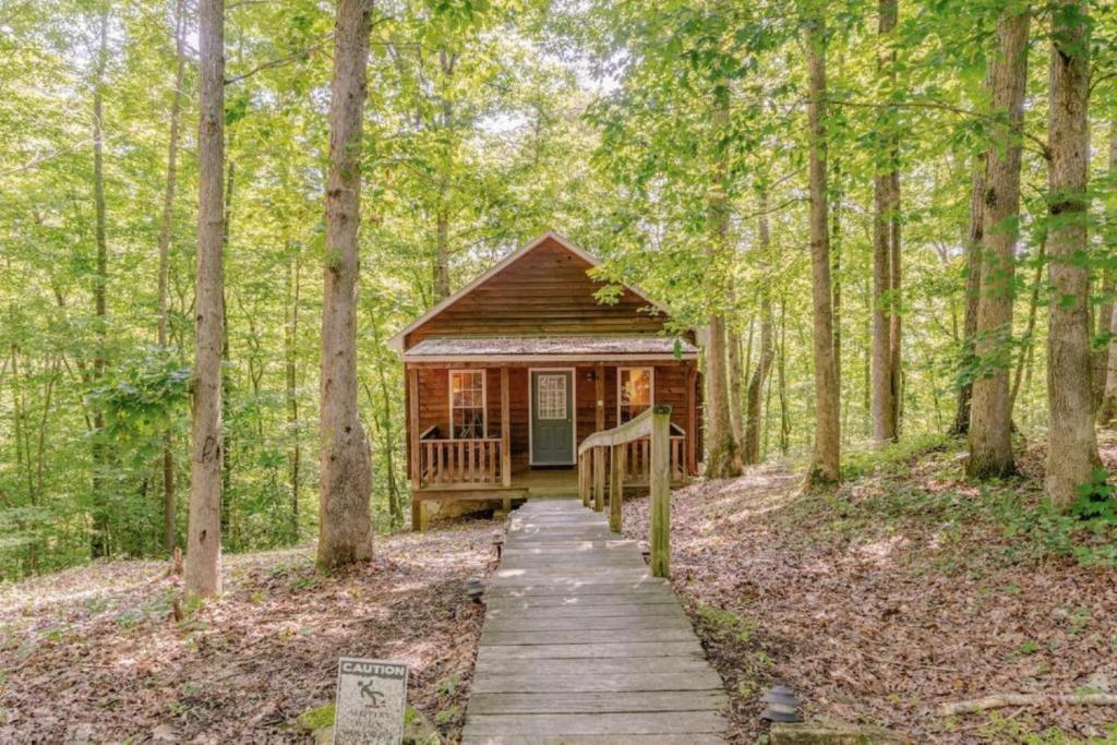 a cabin in the woods with a wooden walkway at Rustic Cabin on 28-Acre Property in the Foothills of the Blue Ridge Mountains in Elkin