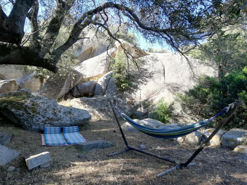 Φυσικό τοπίο κοντά σε αυτή η παραθεριστική κατοικία