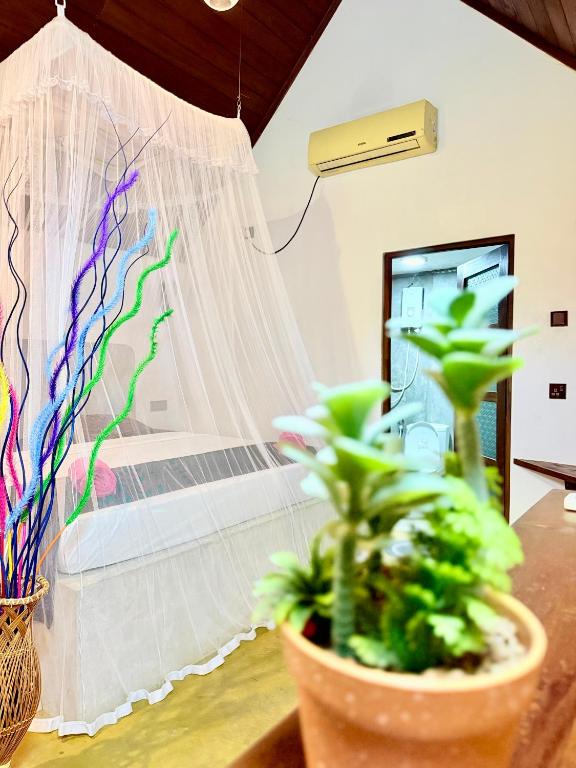 Maika Safari Lodge - 16