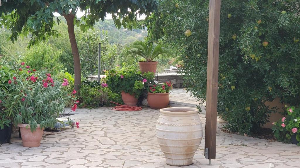 レオニディオにあるSteinhaus In Leonido Mit Parkplatzの鉢植えの庭