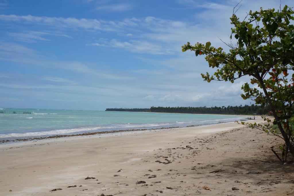  Suites Vida Sol