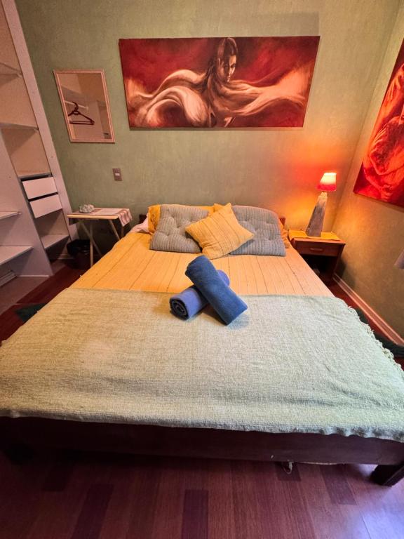 Ένα ή περισσότερα κρεβάτια σε δωμάτιο στο Hortensias del Lago