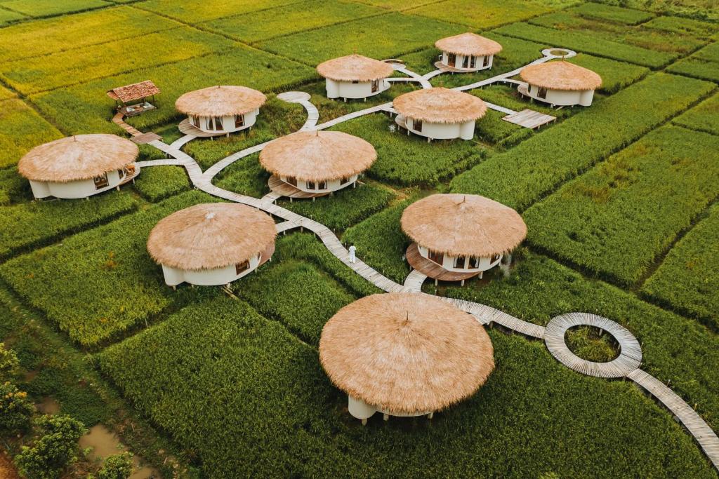 an overhead view of a group of mushrooms on a field at Na Bua Villa Chiangrai in Ban Rim Lao