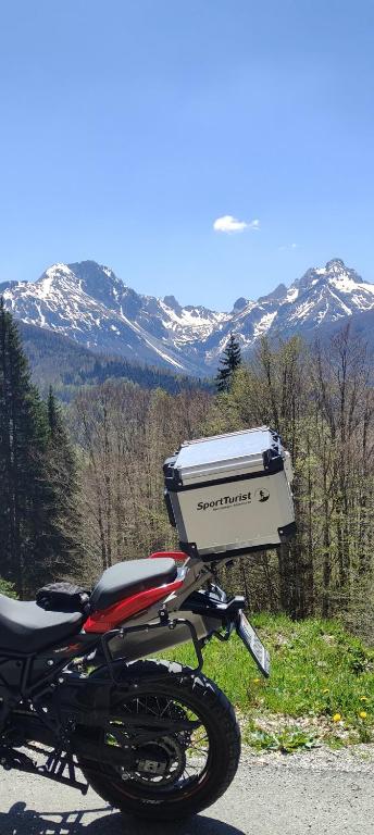 Pini Apart-hotel - 5