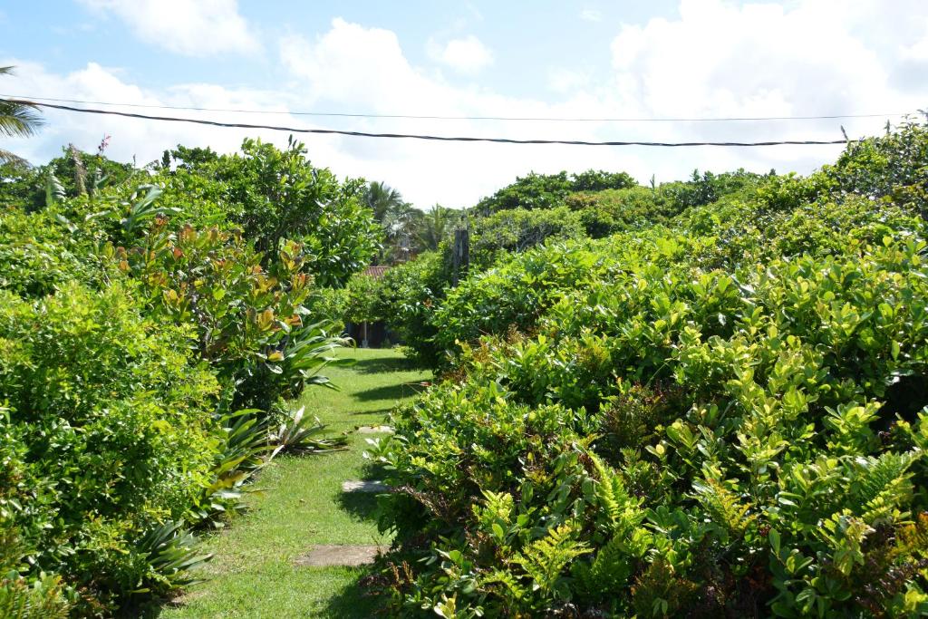  Casa da Ilha do Mel - Pousada de Charme